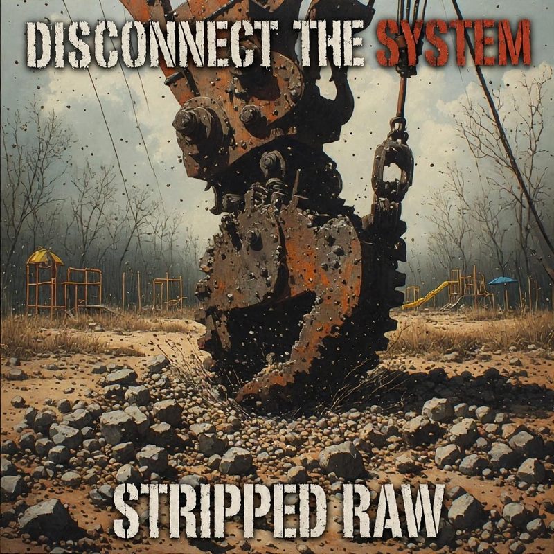 Stripped Raw, single cover from Disconnect the System